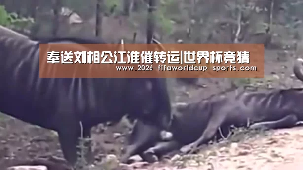 奉送刘相公江淮催转运|世界杯竞猜(图2) 世界杯竞猜